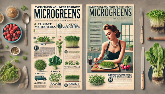 Everything you need to know about microgreens